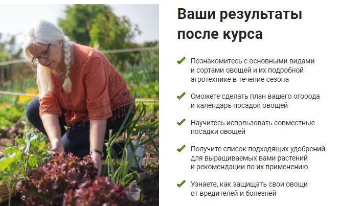 где выращивают огурцы в россии